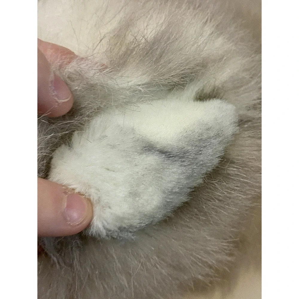 Russ Berrie Yomiko Grey Lavender Tabby Kitty Cat‎ Plush 12